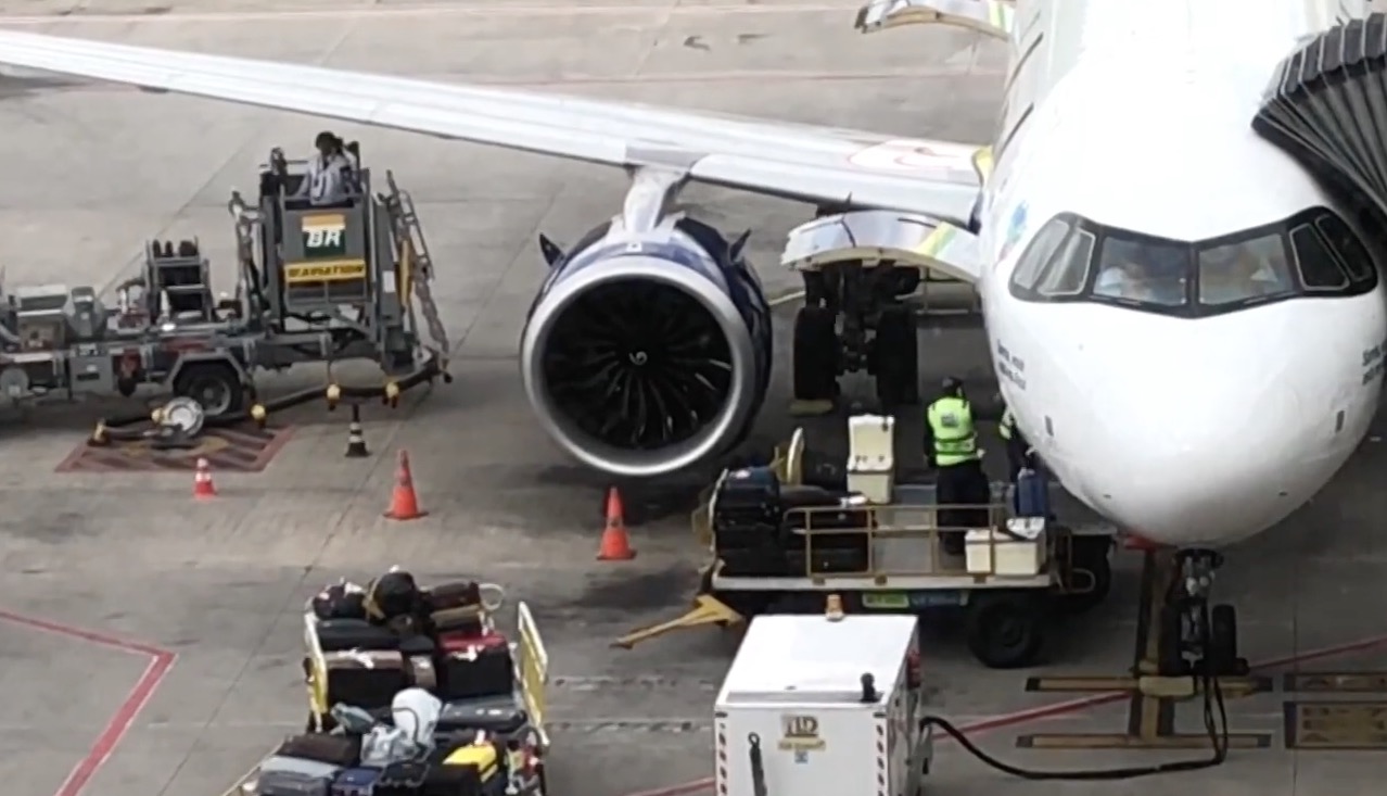 Pousos são interrompidos após avião atropelar cobra em aeroporto 