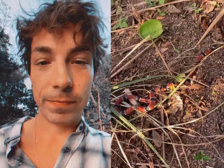 Di Ferrero encontra cobra coral em casa: 'achei o ninho'