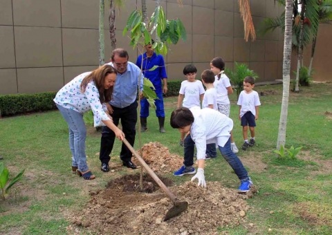 Projeto de incentivo à arborização é lançado hoje em Manaus 