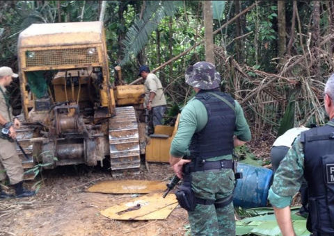 Ipaam aplica mais de R$ 600 mil em multas durante operação no AM