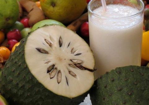   O sabor de cura da Graviola