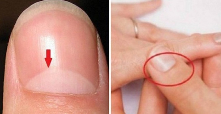 20 Fatos sobre o corpo humano que você vai se surpreender