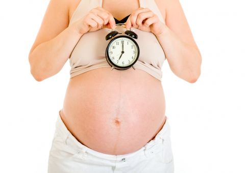 Saiba como a Artemísia pode auxiliar na hora do parto