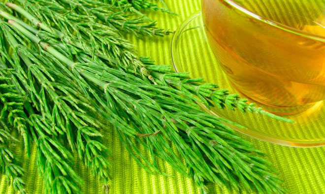 Chá de Cavalinha  trata de dores nas articulações a problema capilar 