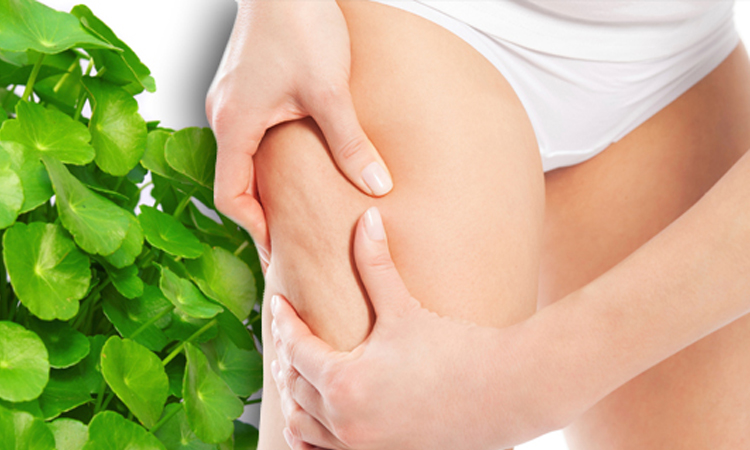 Chá de Centella Asiática te ajuda a combater a celulite