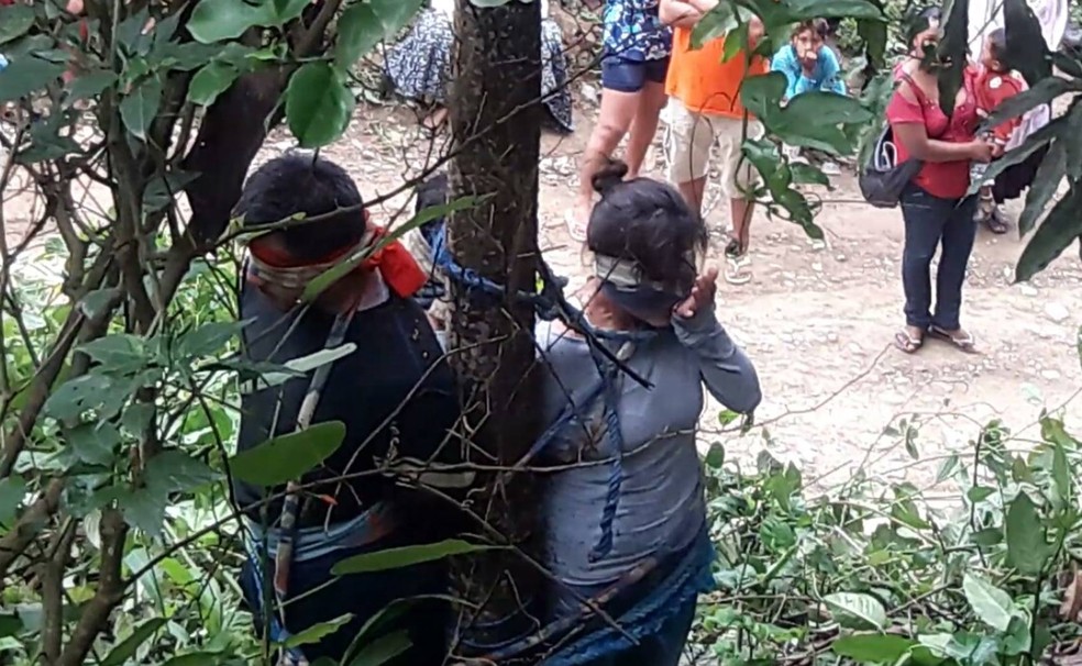 Mulher morre após ser amarrada em árvore com formigas venenosas