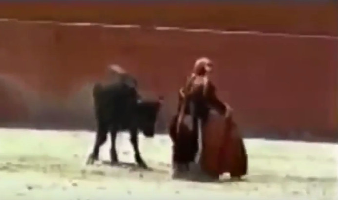 Touro golpeia anã em arena, cai sobre ela e algo inusitado acontece; Vídeo