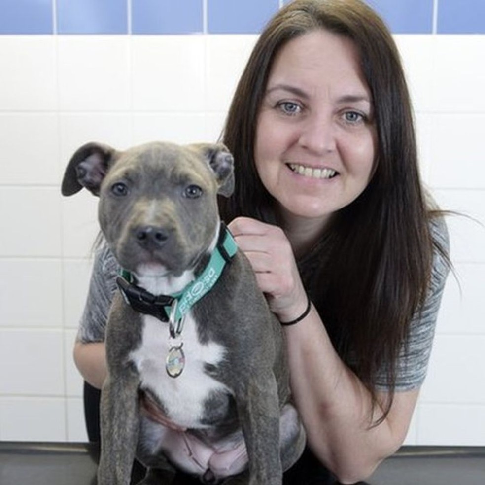 Filhote de cachorro engole faca de 20 centímetros e algo inacreditável acontece