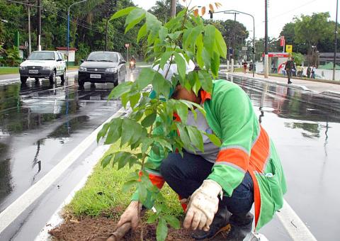 Projeto de arborização realiza plantio na zona norte de Manaus 