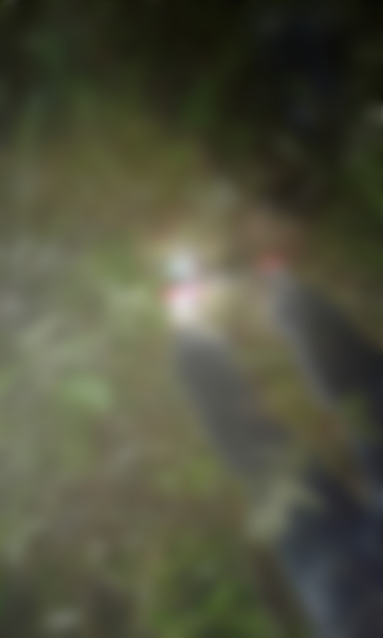 Acidente com microônibus que transportava 'testemunhas de Jeová' deixa ao menos 3 mortos no Amazonas