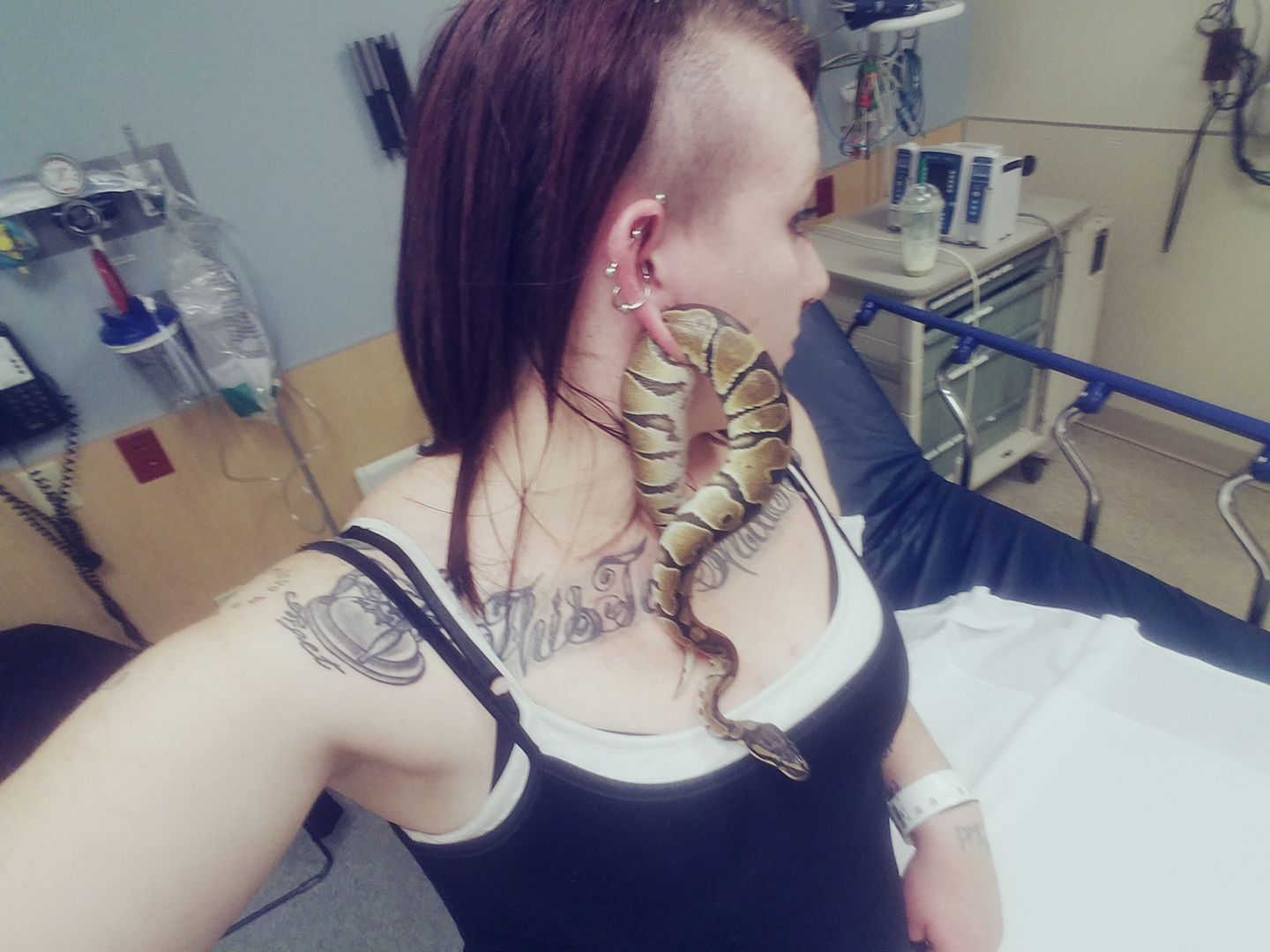 Mulher vai parar em hospital com cobra presa na orelha 