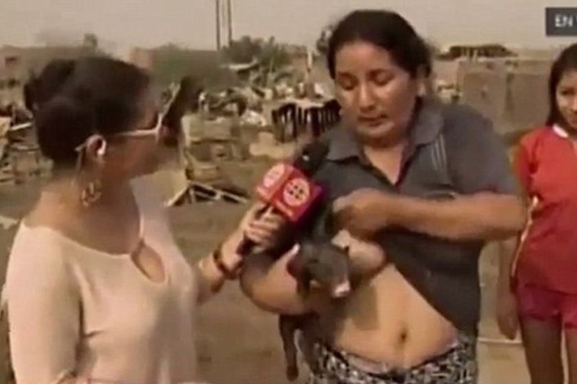 Mulher choca ao amamentar porco durante entrevista ao vivo 