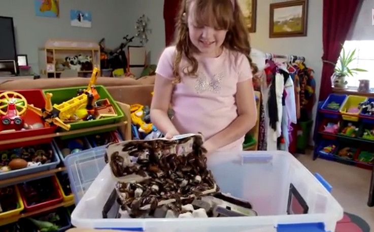 Menina de dez anos faz coleção de baratas vivas