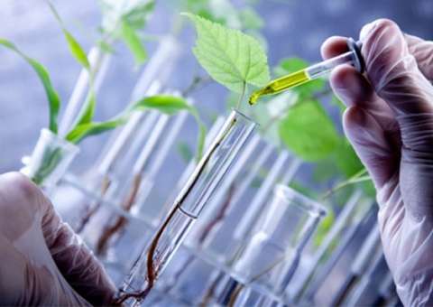 Campanha quer tornar Centro de Biotecnologia da Amazonia em Organização Social 