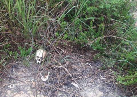Ossos humanos são encontrados no meio de matagal em Manaus