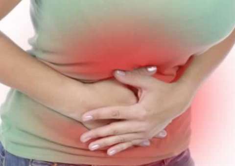 Conheça 5 ervas usadas para combater os sintomas da azia