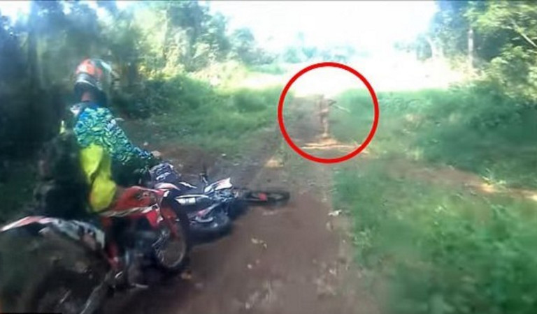 Motociclistas flagram 'criatura bizarra' correndo pela mata durante trilha