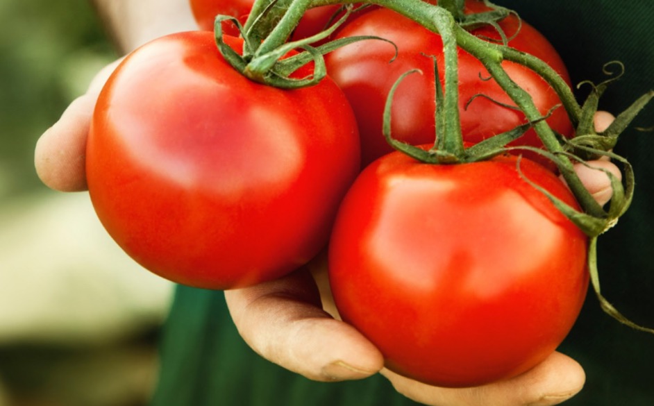 Consumo de fruta  previne câncer de próstata e doença cardiovascular 
