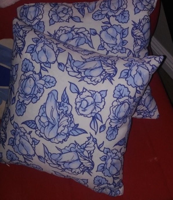 Estampa de almofada 'saliente' divide opinões na web   