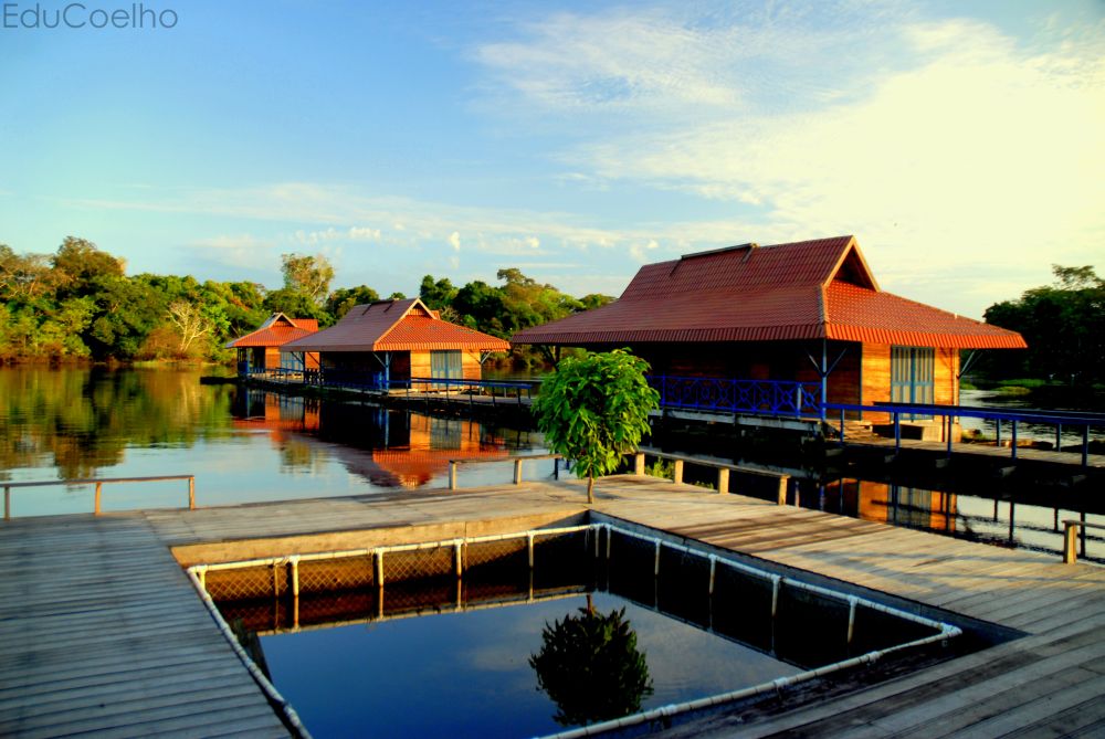 Instituto Mamirauá abre vaga com salário de R$2,5mil no Amazonas