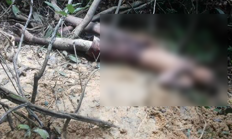 PM é acionada para encontro de cadáver, mas descobre homem vivo na Reserva Adolpho Ducke