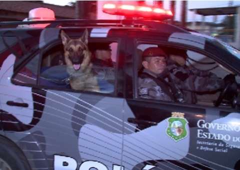 Polícia apreende explosivos próximo a empresa de ônibus em Fortaleza