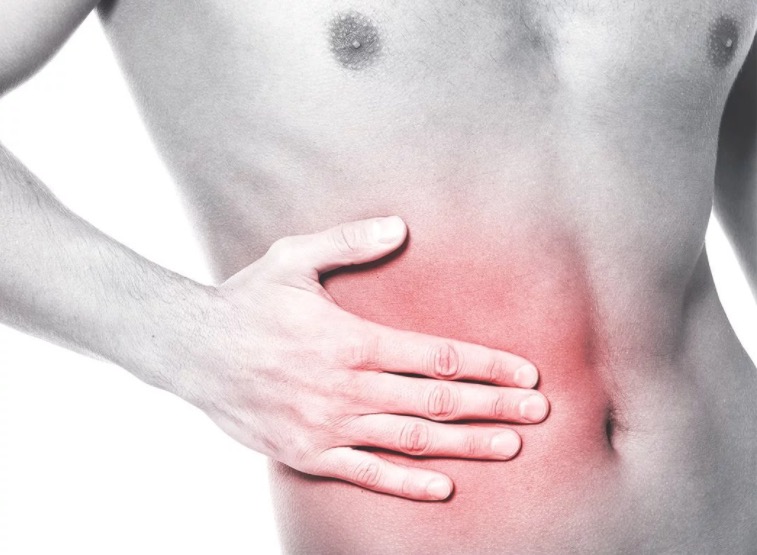 Planta contém substâncias capazes de curar problemas no fígado 