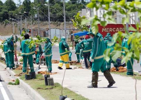 Arboriza Manaus faz manutenção de mudas em bairros de Manaus 