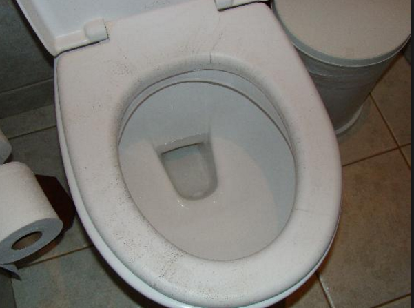 Homem espalha cinzas de amigo em vaso sanitário