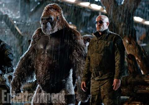  Planeta dos Macacos: A Guerra tem estreia adiada no Brasil