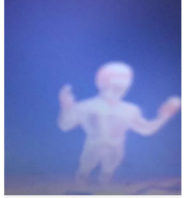 Fotografia mostra ‘anjo da guarda’ de criança com Síndrome de Down  