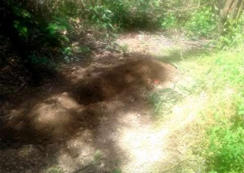 Mãe é suspeita de enterrar recém-nascido dentro de caixa de sapato  