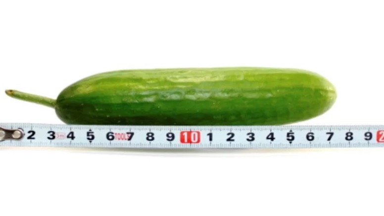 Estudo feito com 15 mil homens revela tamanho 'normal' de pênis