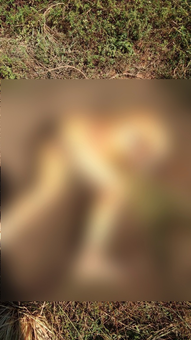 Nua e decapitada, corpo de mulher é encontrado no Amazonas