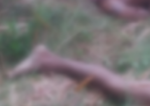 Duas cabeças são encontradas em ramal no Amazonas