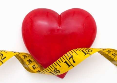 Espécie de Alga pode reduzir colesterol e pressão arterial 