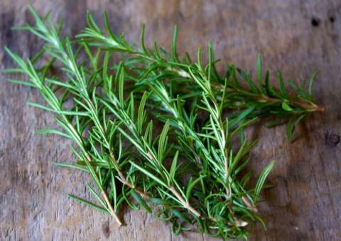 Extrato de erva ajuda a evitar agentes cancerígenos