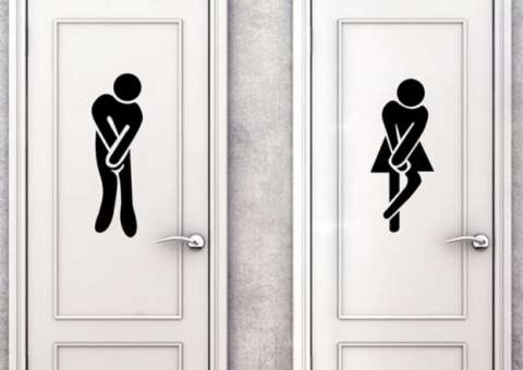 Folhas e flores de planta tratam problemas no aparelho urinário