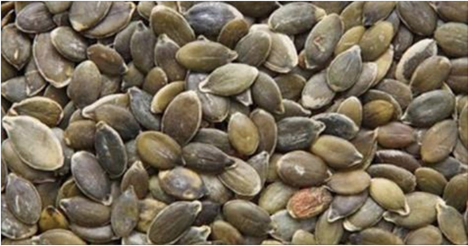 Não jogue mais essas sementes fora: Controlam bronquite, diabetes e prisão de ventre