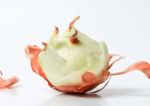 Com propriedades anti-inflamatórias, casca de cebola combate colesterol ruim      