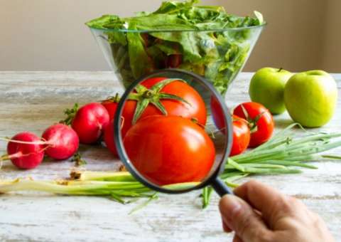 Frutas e verduras sem agrotóxicos são bons para garantir saúde e beleza da pele 
