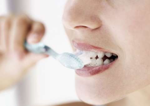 Gel extraído de planta pode ser usado na escovação e limpeza dos dentes 