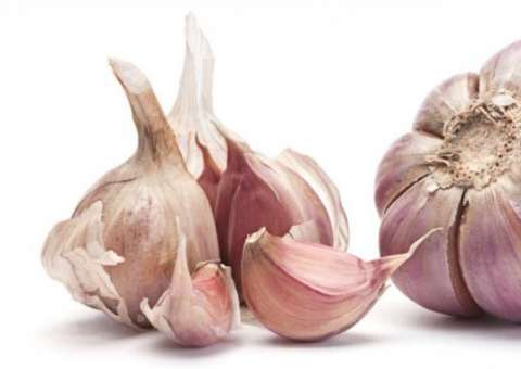 Estudo afirma que homens que comem alho são mais atraentes 