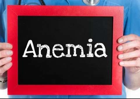 Conheça alimentos indicados para combater anemia 