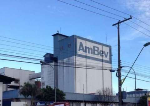 Ambev abre inscrições para Programa de Trainee com salário inicial de R$ 6 mil