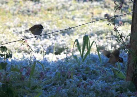 Mudanças climáticas podem matar 152 mil europeus por ano até final do século 