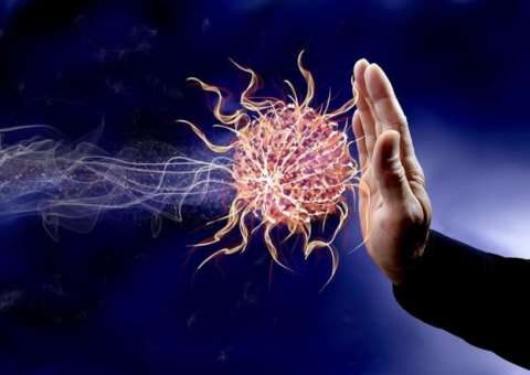 Alimentos ricos em antioxidante pode ajudar a elevar a imunidade 