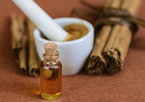 Óleo essencial de madeira é considerado afrodisíaco e estimulante. Conheça 