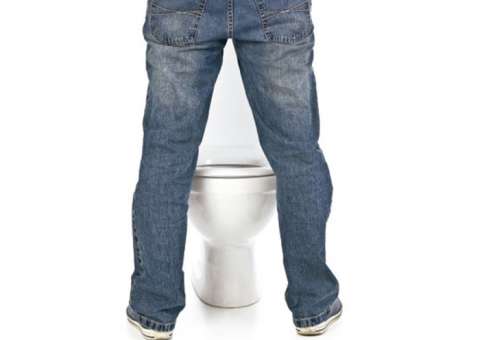 Planta é indicada para tratamento de doenças do sistema urinário 