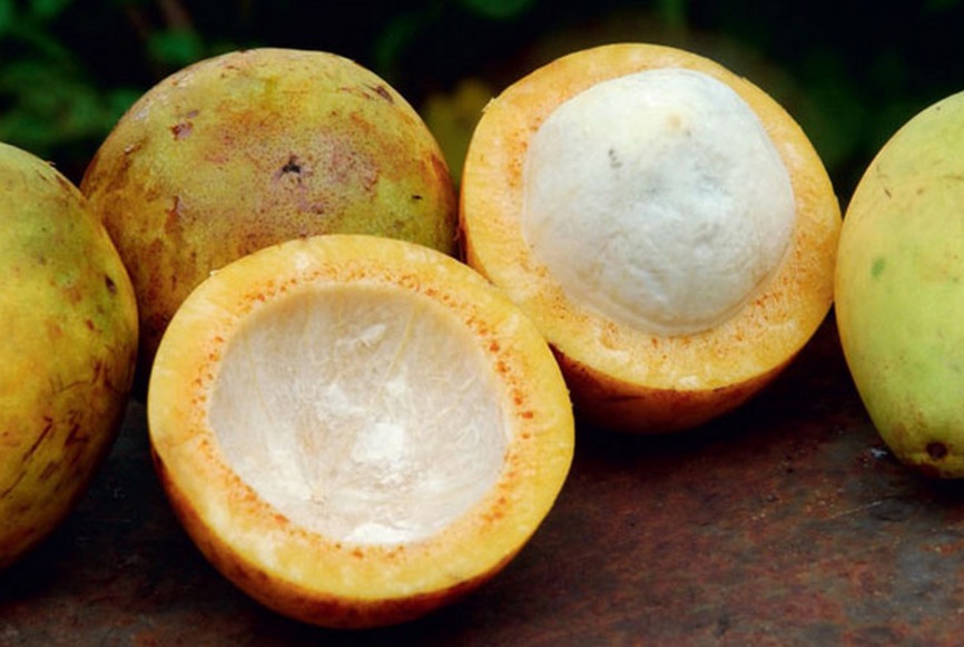 Fruta popular da Amazônia é rica em Potássio, Fósforo e Cálcio 